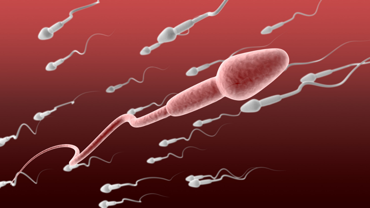 5 Cara Efektif Memperbanyak Sperma yang Harus Diketahui