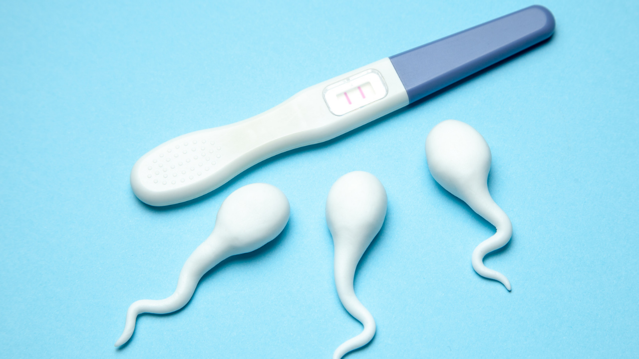 6 Makanan Penambah Sperma Alami Yang Wajib Kamu Ketahui