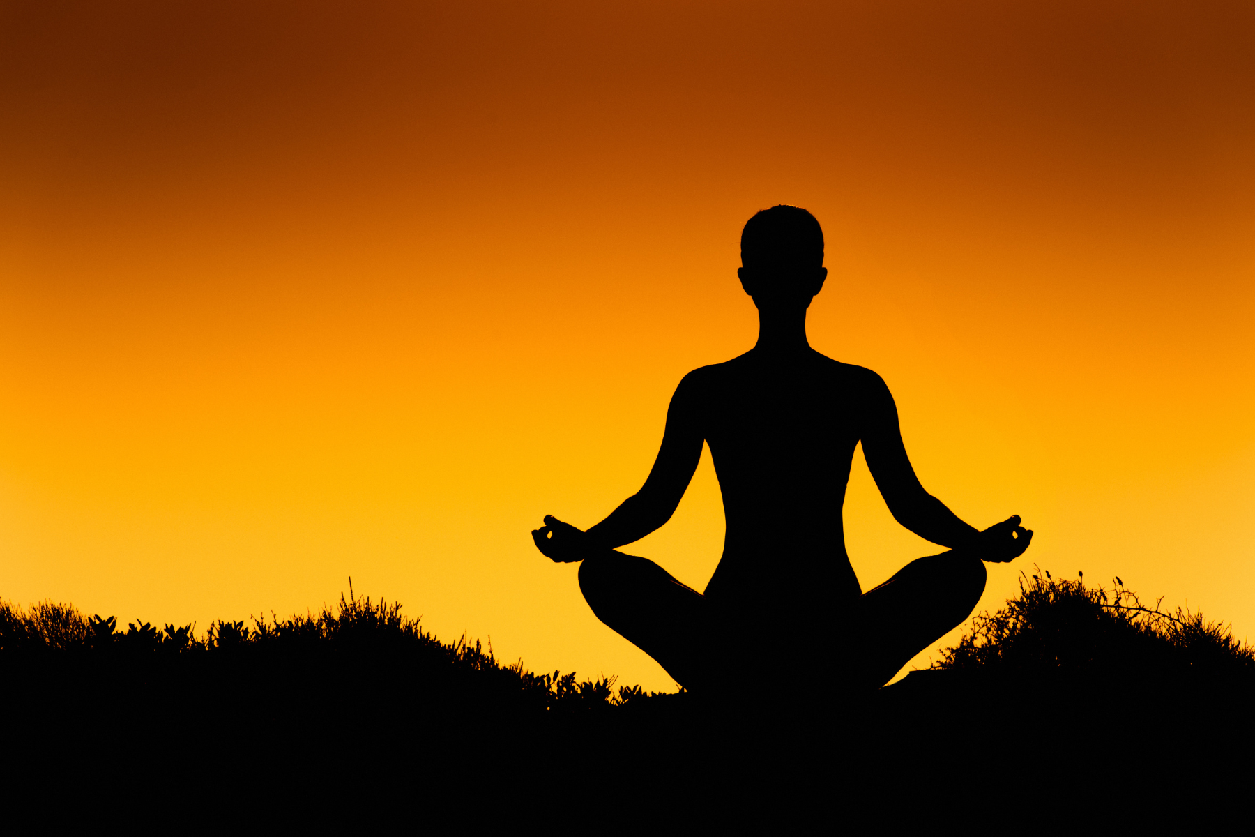 Manfaat Meditasi Harian: Cara Sederhana untuk Menenangkan Pikiran dan Menjaga Kesehatan Tubuh